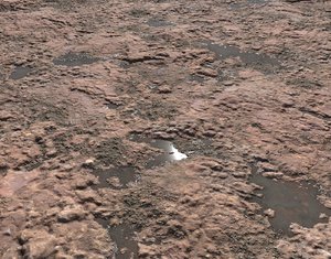 Red arid terrain seamless PBR