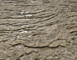 Muddy terrain and puddles 3 PBR