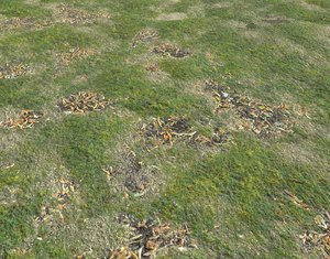 Grassy ground PBR Texture