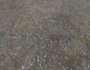 Dirty ground 2 seamless PBR