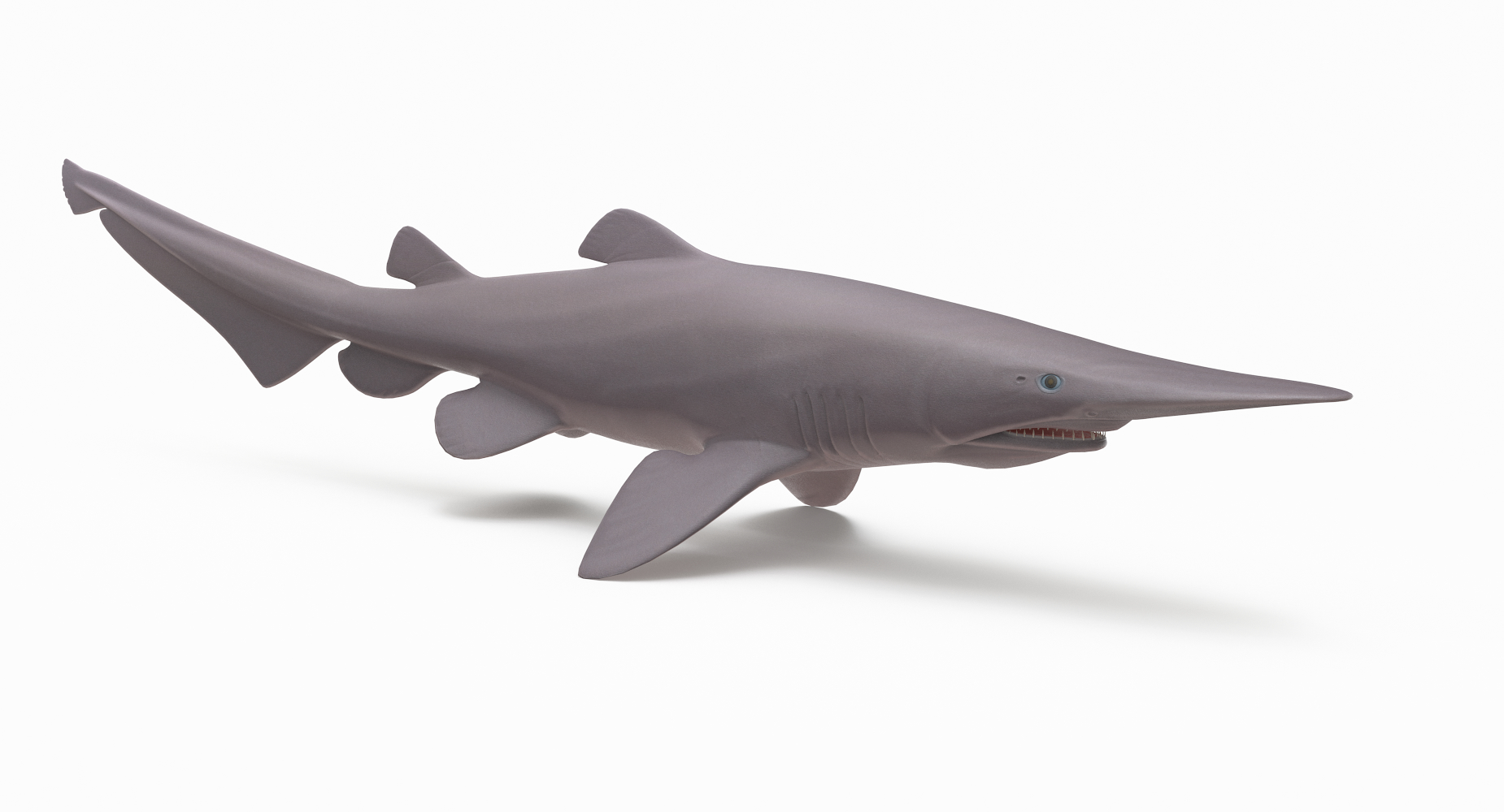 3D goblin shark model - TurboSquid 1417221