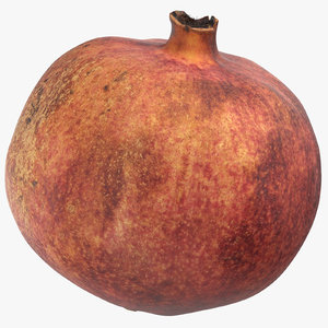 pomegranate 01 3D model