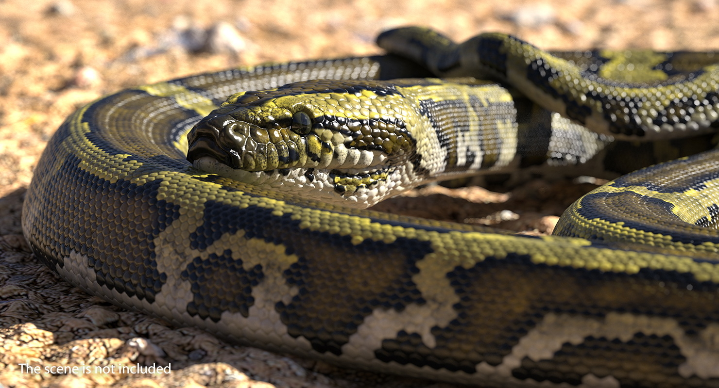 green python snake rigged 3d