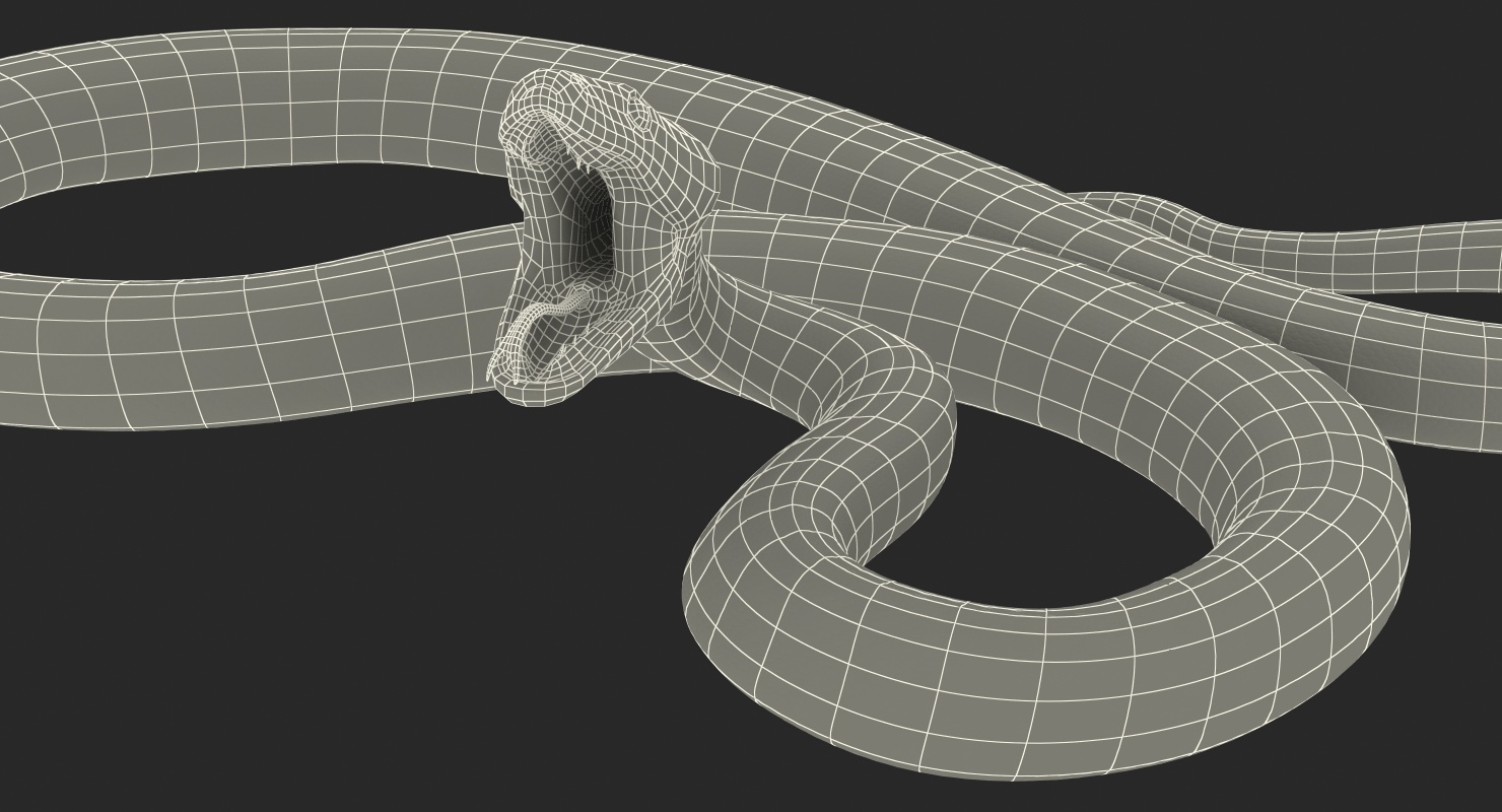 yellow python snake rigged 3d