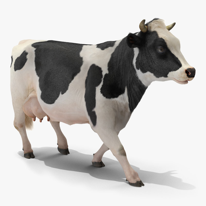 3D cow walking animal rigged - TurboSquid 1417820