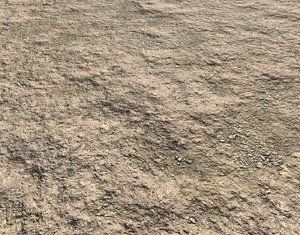 Arid desert terrain seamless 7 PBR