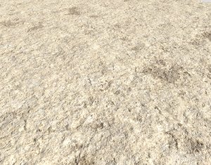 Arid desert terrain seamless 11 PBR