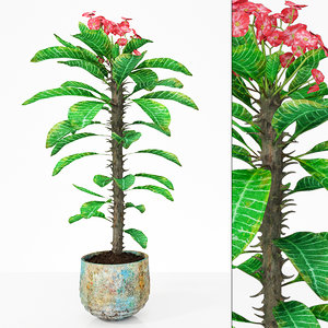 plant 7 3D model