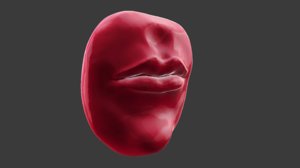 3D model human mouth