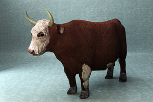 3D cow rigged