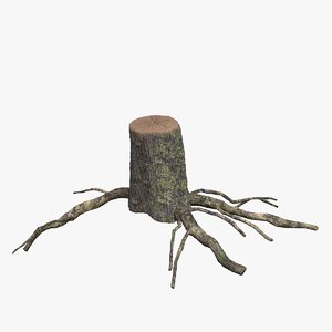 3D stump roots