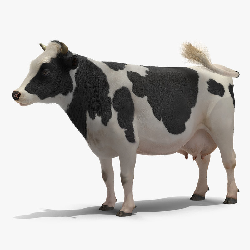 Grass eating cow animal 3D model - TurboSquid 1418613