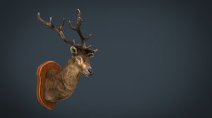 deer trophy model