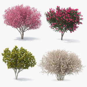 3D model flowering bushes trees 2