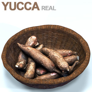 basket yucca 3D model