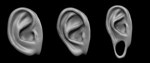 sample 3 ears 3D model