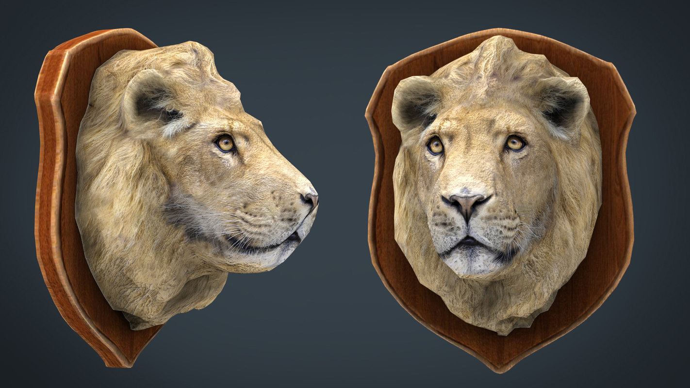 3D lion trophy model TurboSquid 1418798