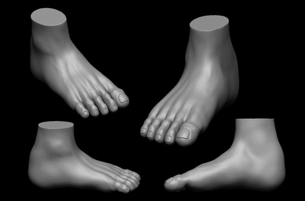 無料free Foot Highpoly 3dモデル3dモデル Turbosquid