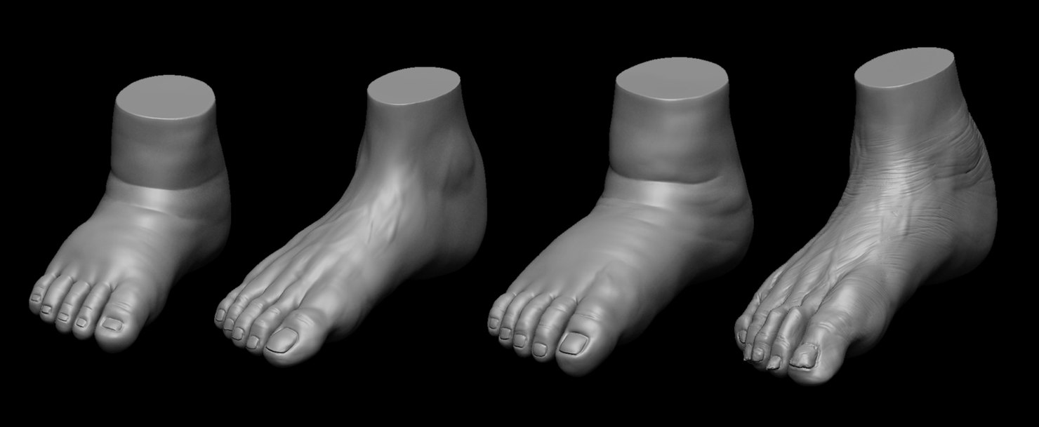 3D 4 differents feet model TurboSquid 1419099