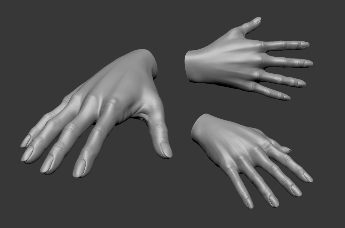 3d hand model for drawing