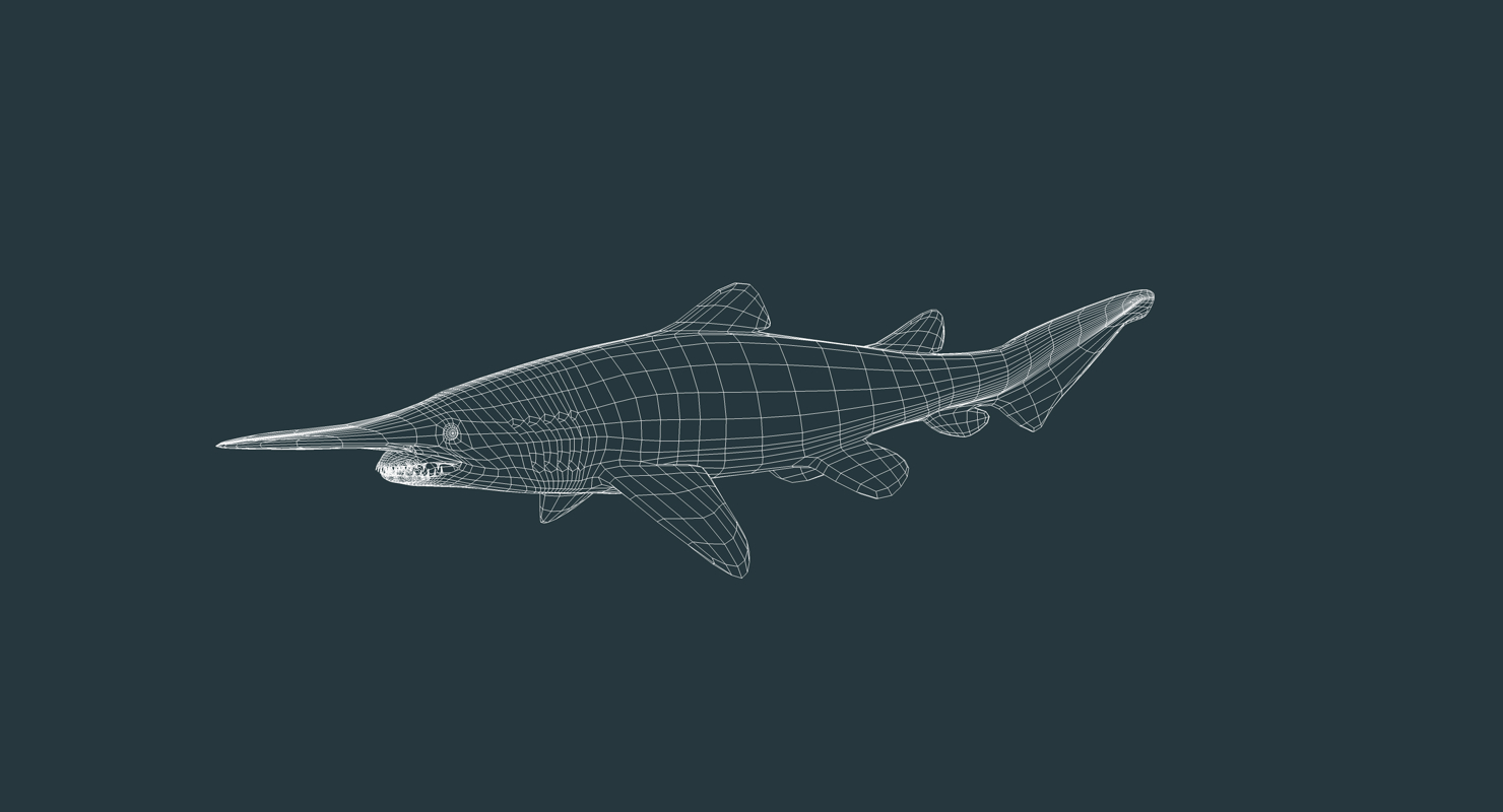 3d model realistic female goblin shark