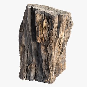 3D tree bark scanned model