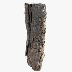 tree bark scanned 3D model