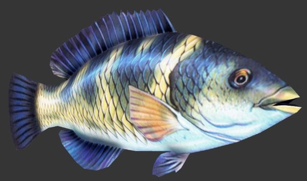 3d parrot fish