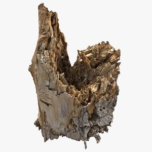 3D model tree bark scanned