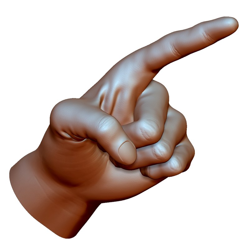 Male hand  pointing 3D  model  TurboSquid 1393502