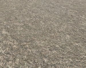 Dry grass field 5 PBR