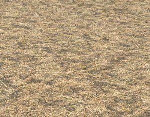 Dry grass field 2 PBR