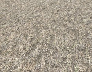 Dry grass field 6 PBR