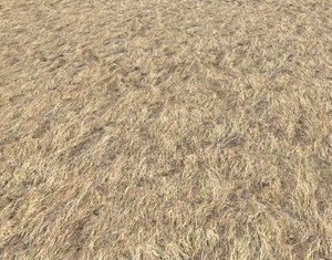 Dry grass field 4 PBR