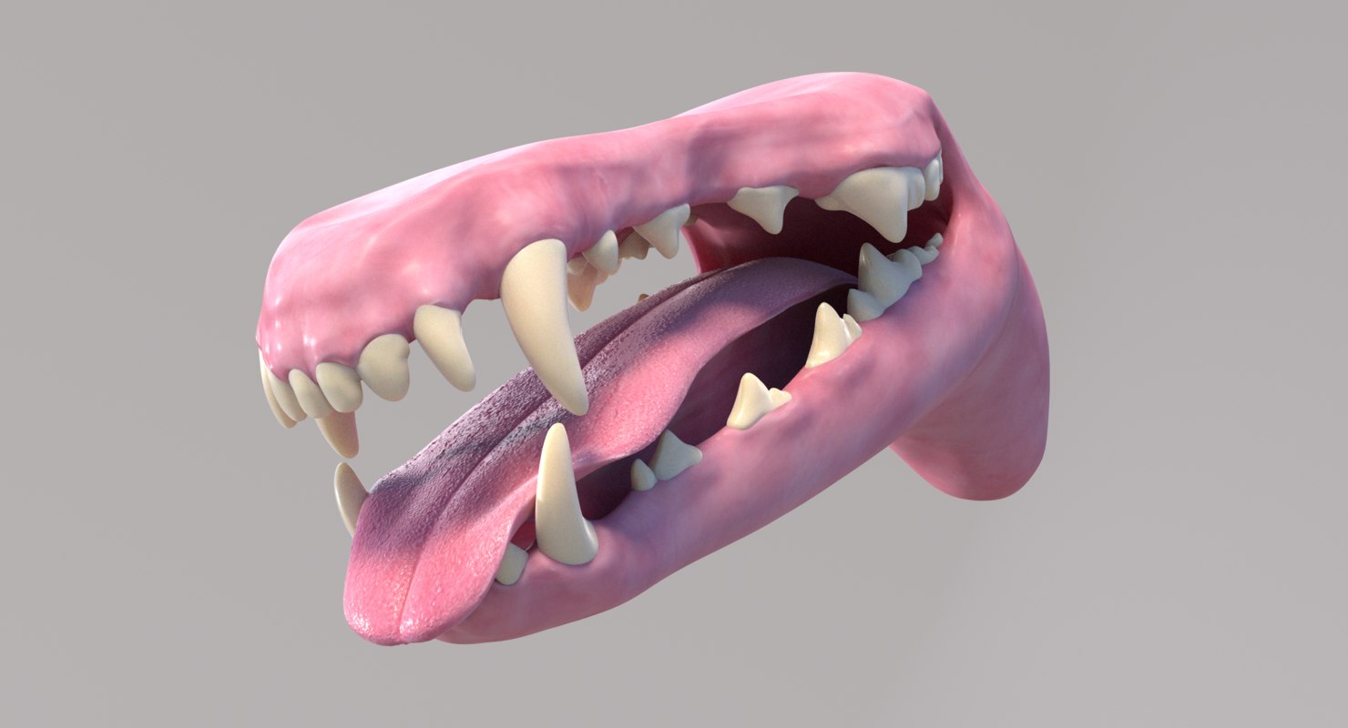 3D realistic dog mouth - TurboSquid 1420400