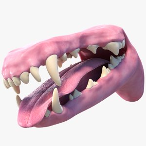 3D realistic dog mouth