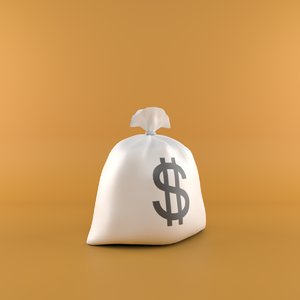 money bag 3D