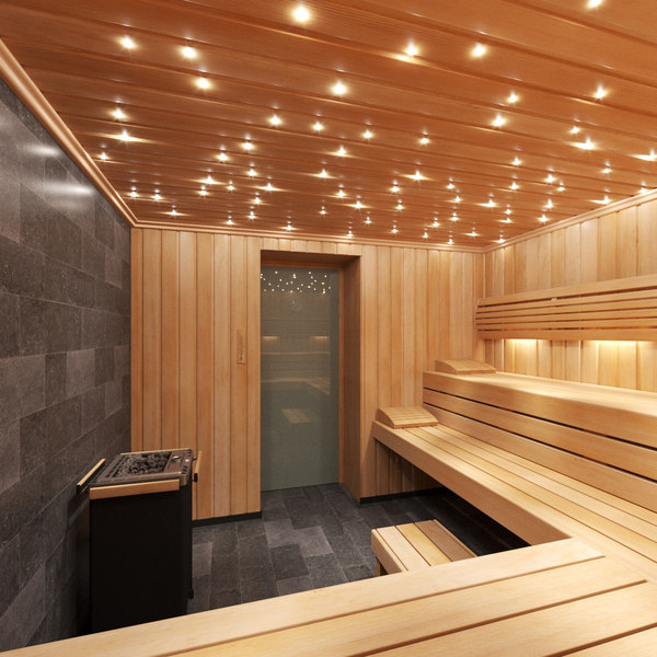 Verrassend genoeg Rubriek Hub 3D model sauna room interior - TurboSquid 1420799