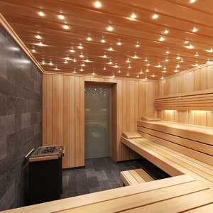 3D model sauna room interior