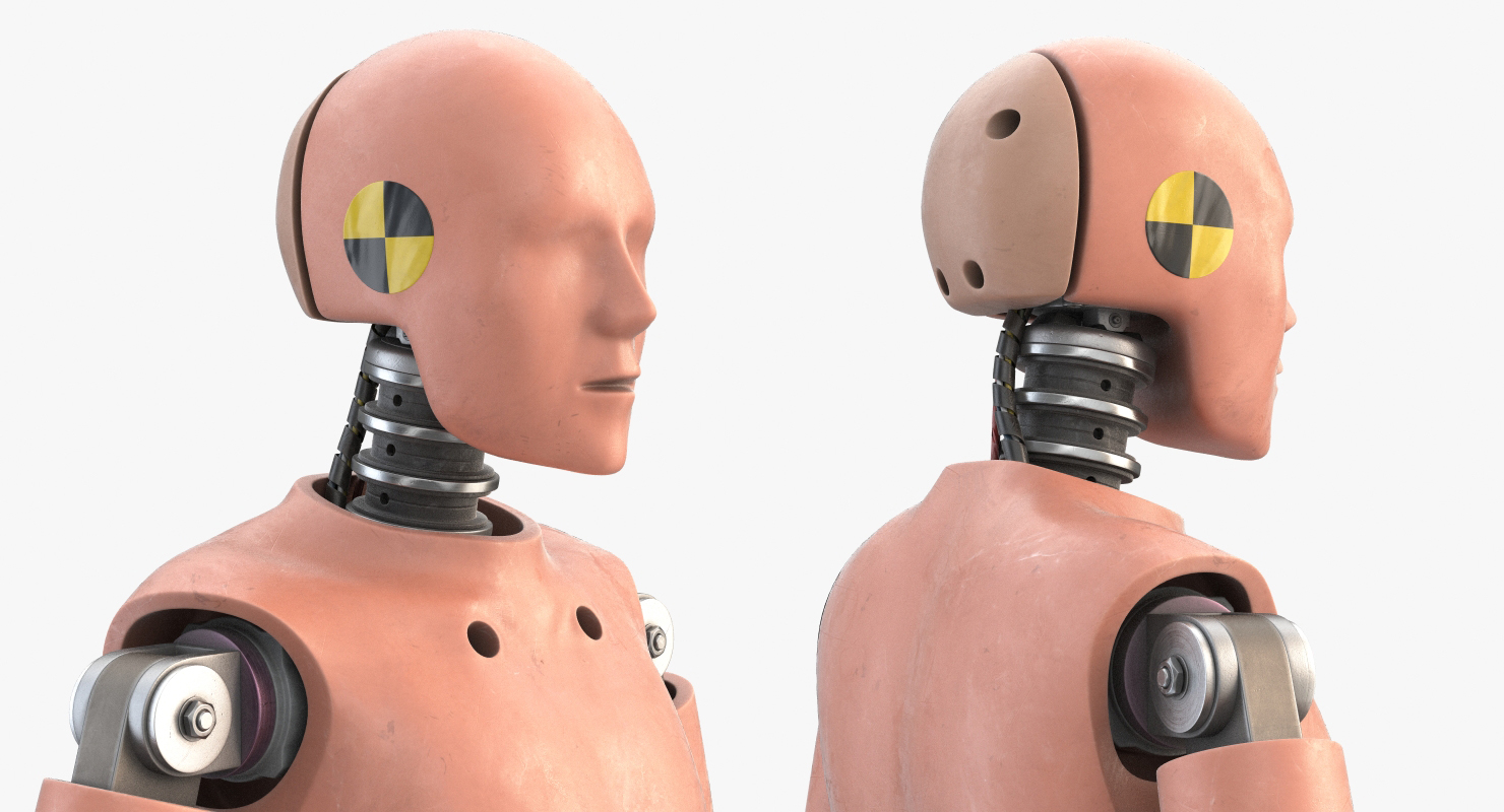 碰撞测试假人13d模型