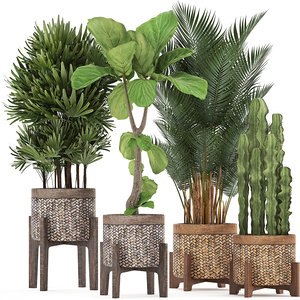 3D exotic plants