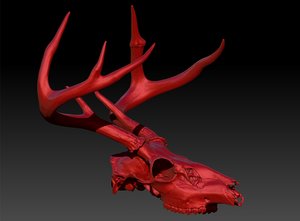 deer 3D