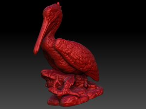 pelican 3D model