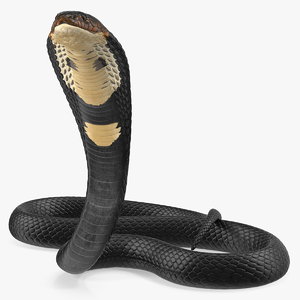dark skin cobra rigged 3D model