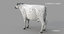 3D cow ayrshire