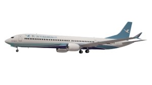 xiamenair 737 10 3D model