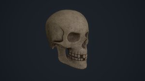 skull jawbone 3D