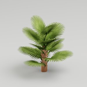 fan palm tree 3D model