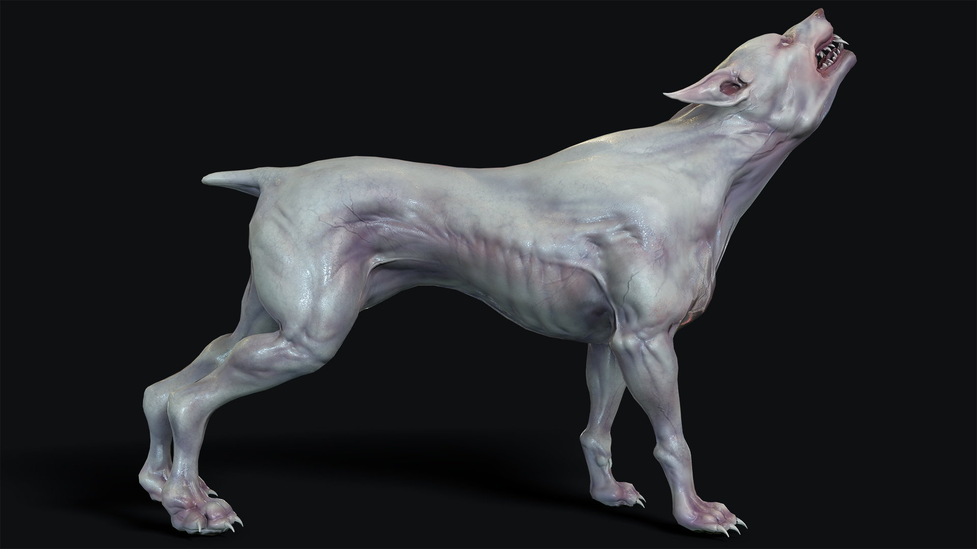 突变犬3d模型