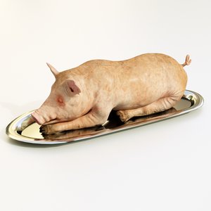 3D pork pig animal
